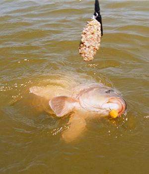 Interesante :) - crap95524c41.jpg